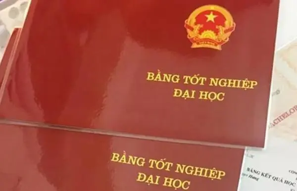 khong-do-dai-hoc