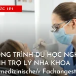 https://tiengducdanang.vn/du-hoc-nghe-duc-nganh-tro-ly-nha-khoa/