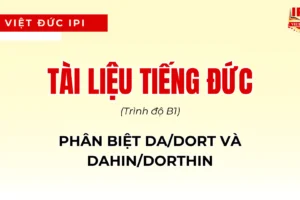 phan-biet-da/dort-va-dahin/dorthin