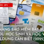 bao-hiem-bat-buoc-tai-duc