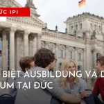 phan-biet-ausbildung-va-duales-studium-tai-duc