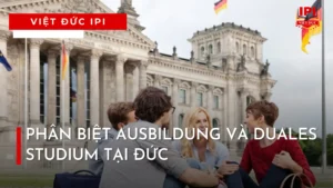 phan-biet-ausbildung-va-duales-studium-tai-duc