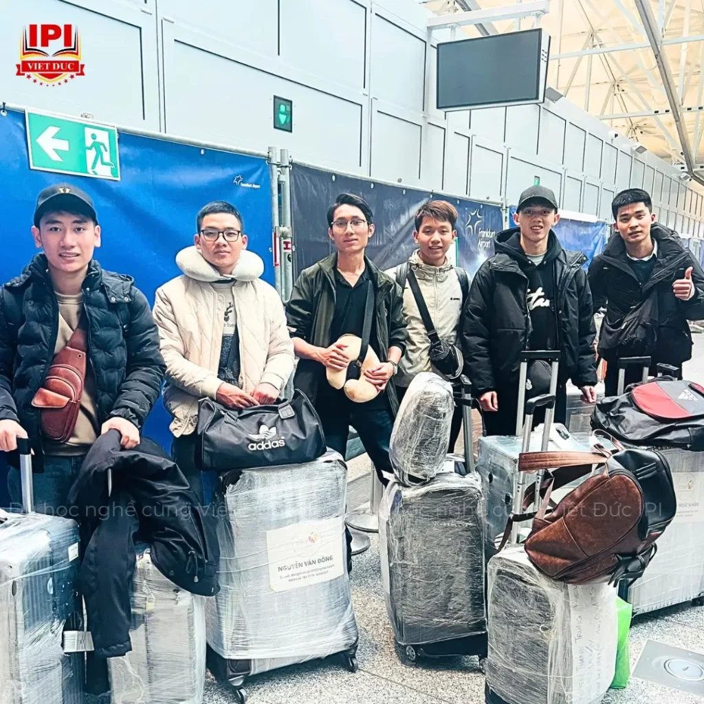 phan-biet-cac-loai-hinh-viec-lam-tai-duc