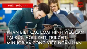 phan-biet-cac-loai-hinh-viec-lam-tai-duc
