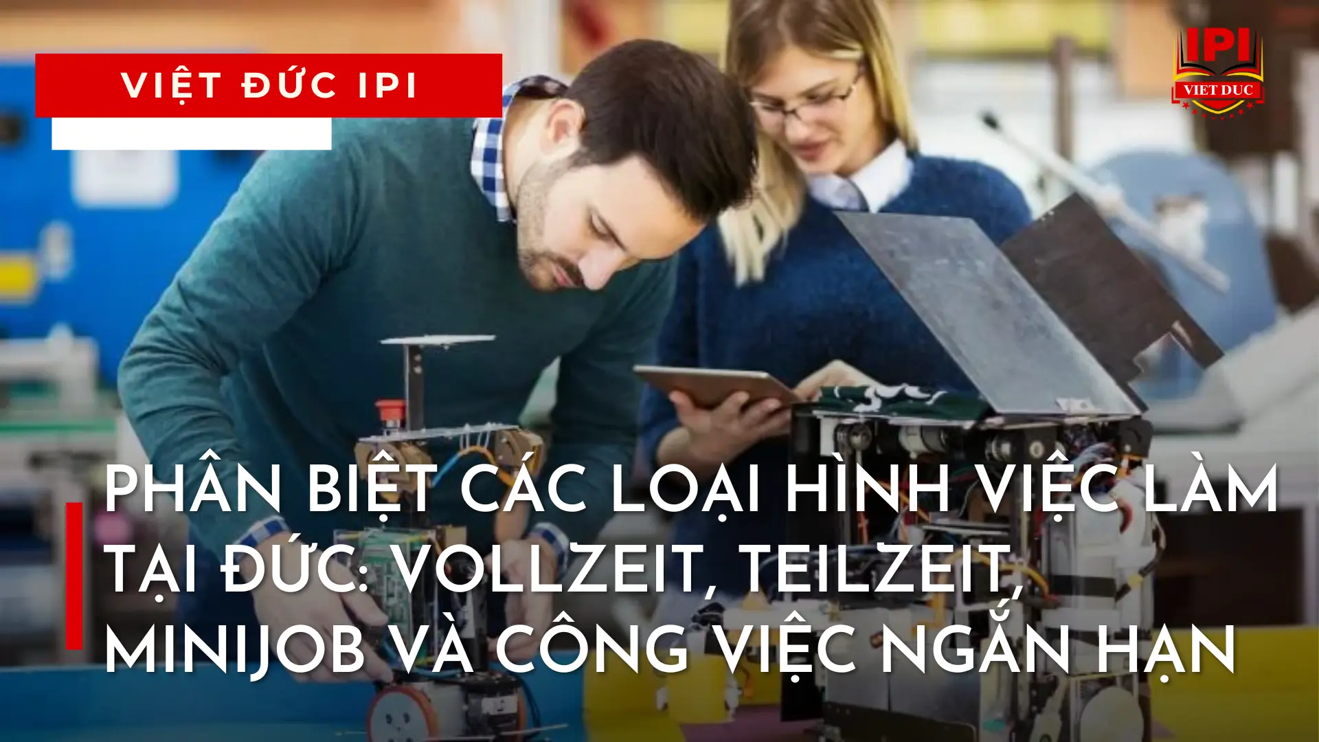 phan-biet-cac-loai-hinh-viec-lam-tai-duc